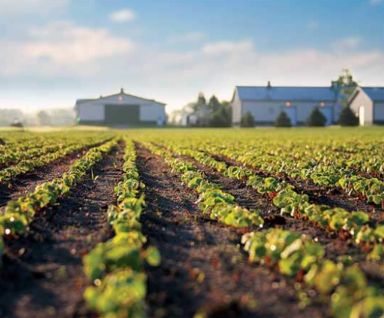 A bottle of oil and a jar of cream are sitting on a wooden table.