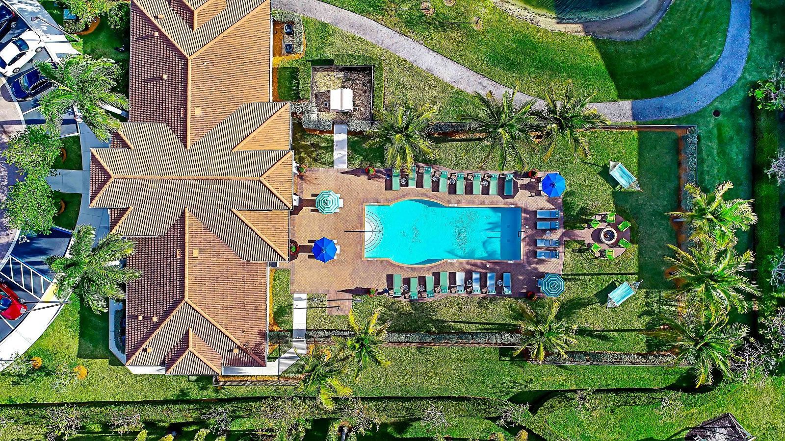 An aerial view of a swimming pool surrounded by palm trees.