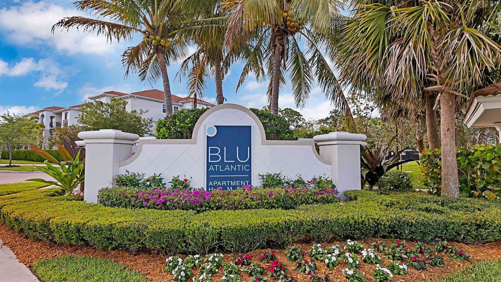 A white sign with the word blu on it is surrounded by flowers and palm trees.