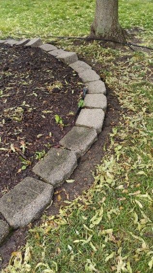A stone border around a tree in a park.