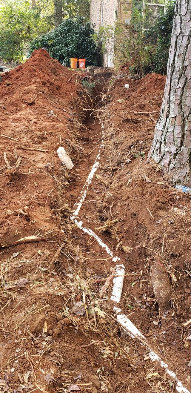 A drain pipe is being installed in the dirt next to a tree.