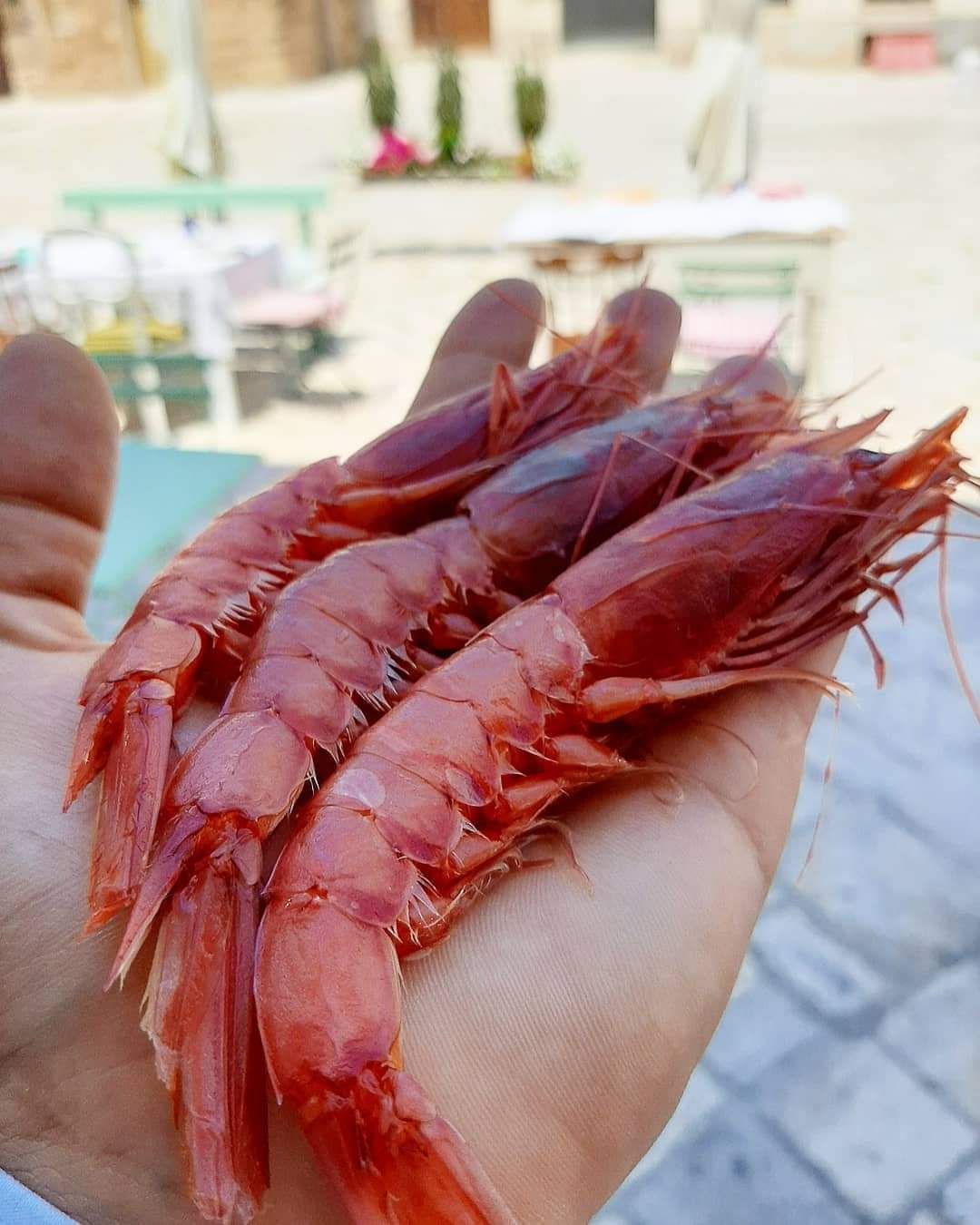 Osteria Del Leone 17