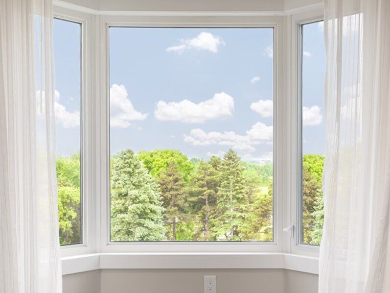 A glass window looking out at a view of trees