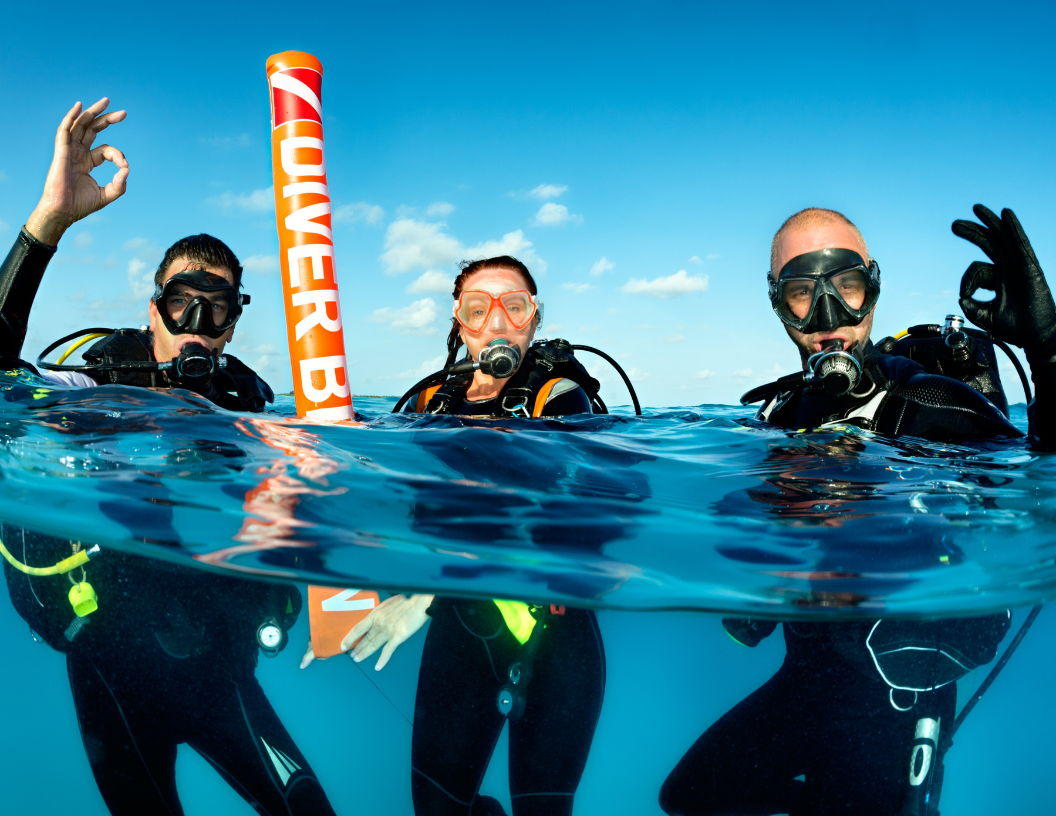Snorkeling and Diving