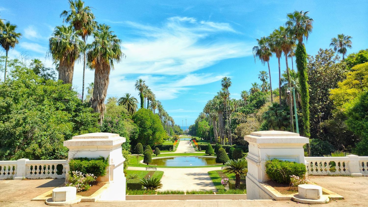 A grand garden path lined with tall palm trees, leading toward a central reflecting pool under a bright, sunny blue sky.