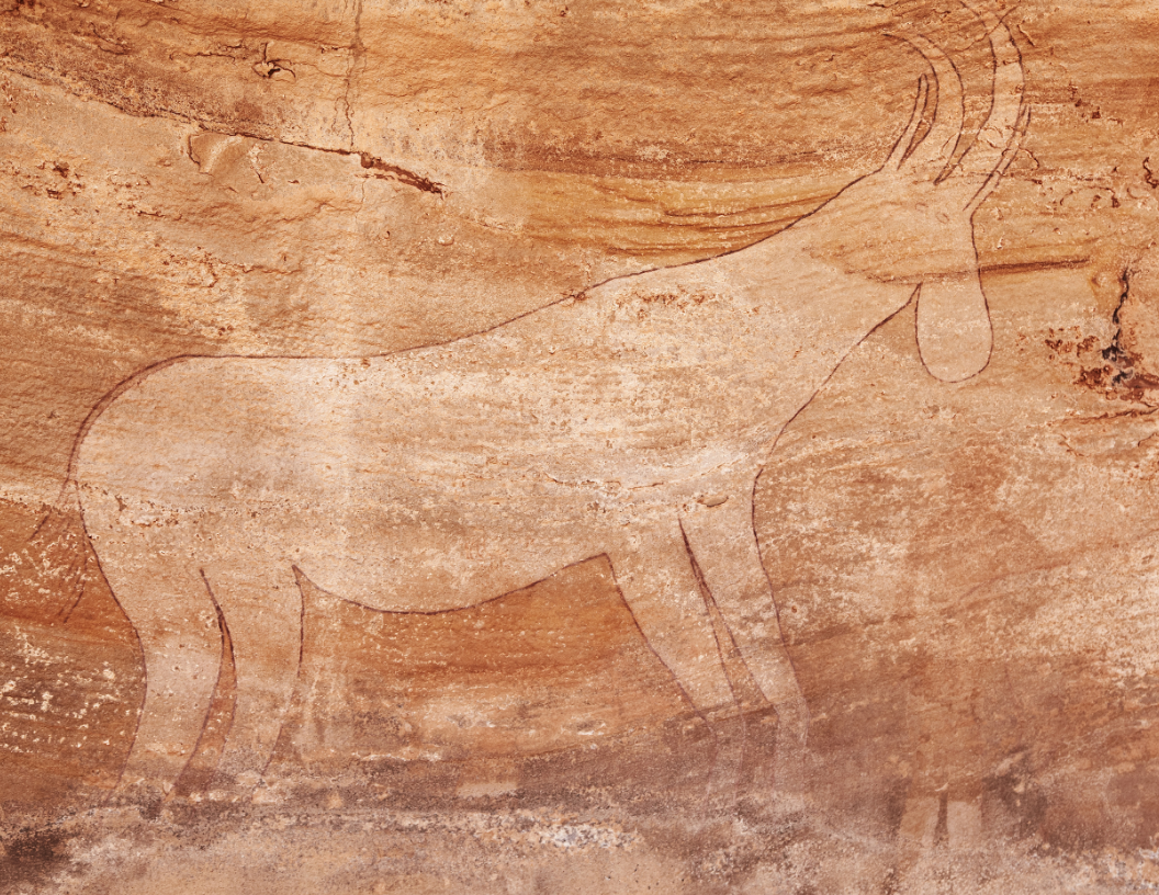 Rock carving of an addax or antelope in profile, featuring curved horns and a textured, light-colored sandstone background.