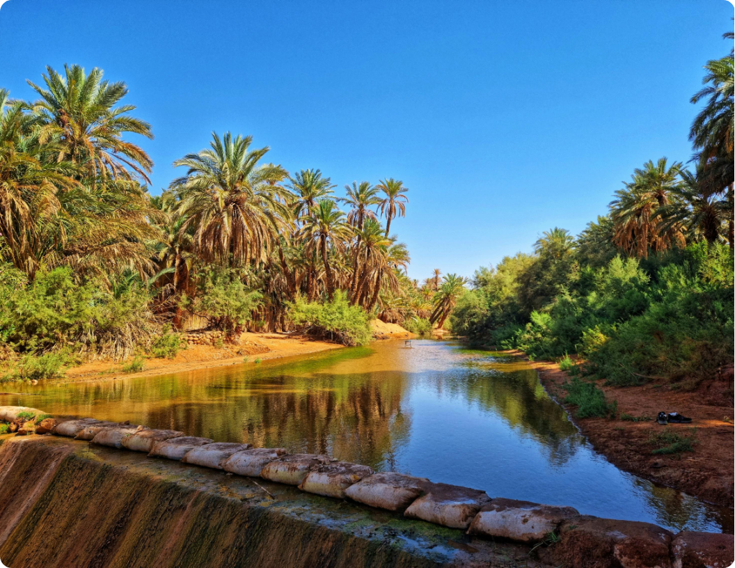 A calm stream flowing through a lush oasis with palm trees under a bright blue sky, seen from behind a stone embankment.