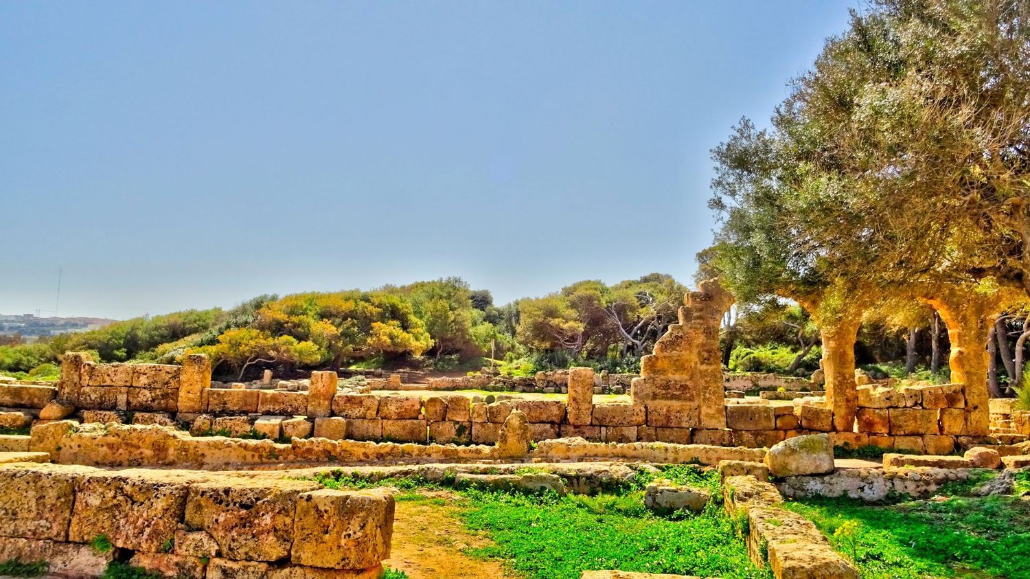 Low stone ruins of an ancient structure set against a grassy field and trees under a clear blue sky.