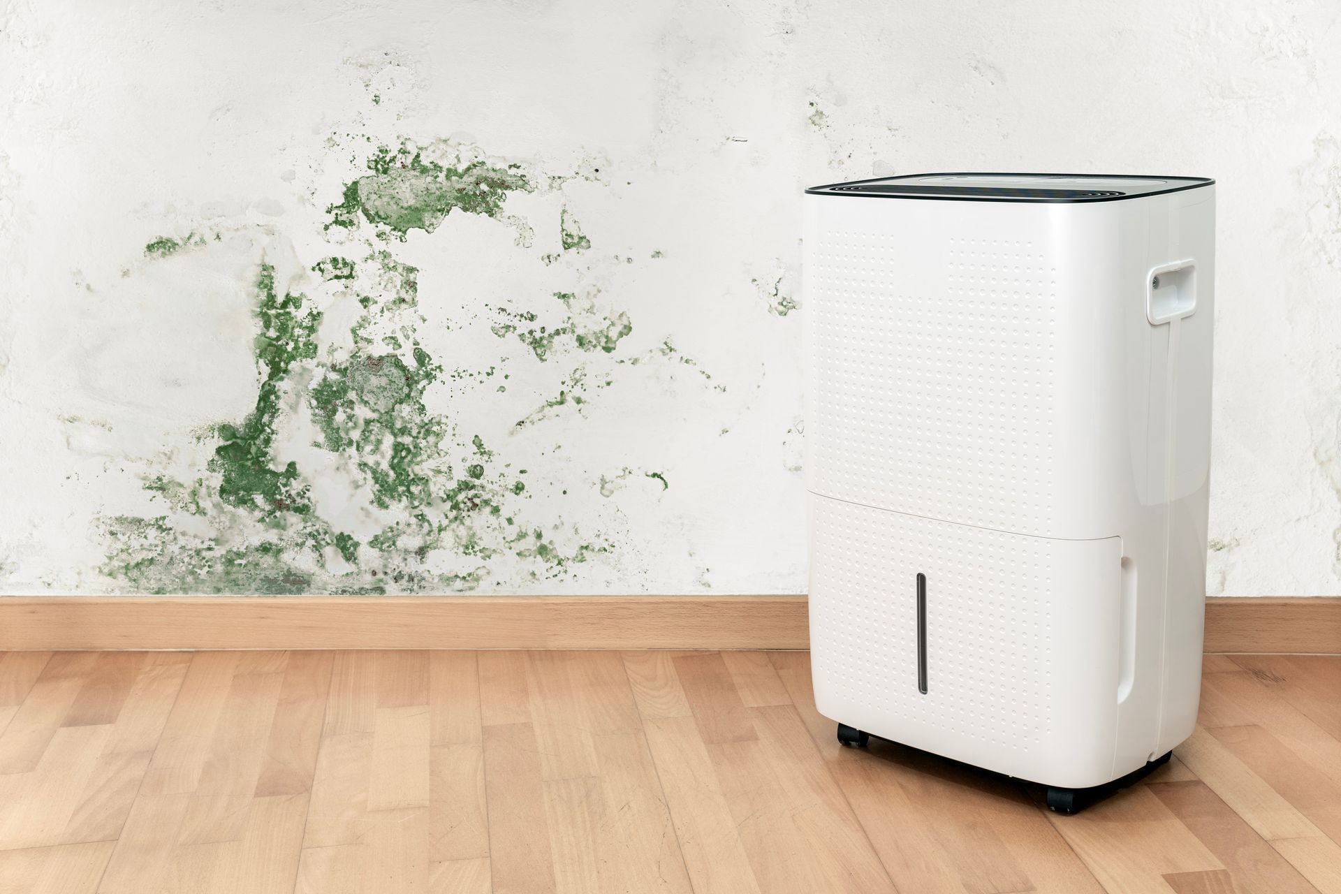 A white dehumidifier stands on a wood floor in front of a wall with a large patch of green mold.