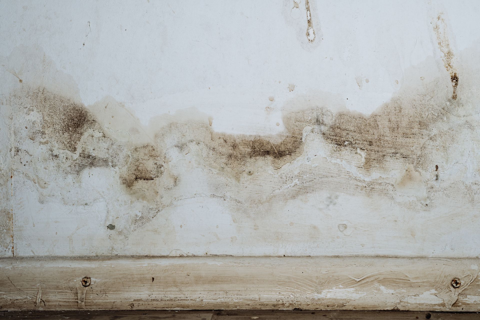 A wall with a large, dark, irregular damp stain and mold growth above a wooden baseboard.