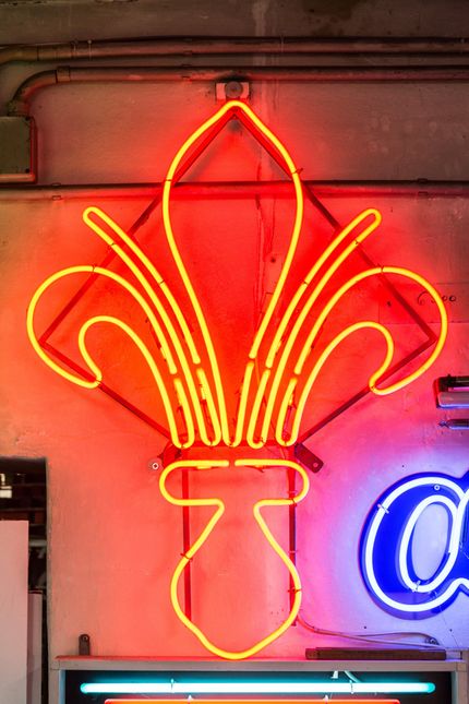 Pernice - Normale - Neon - Mega(pozione) - Gioco Di Ruolo (consegna In Giornata)
