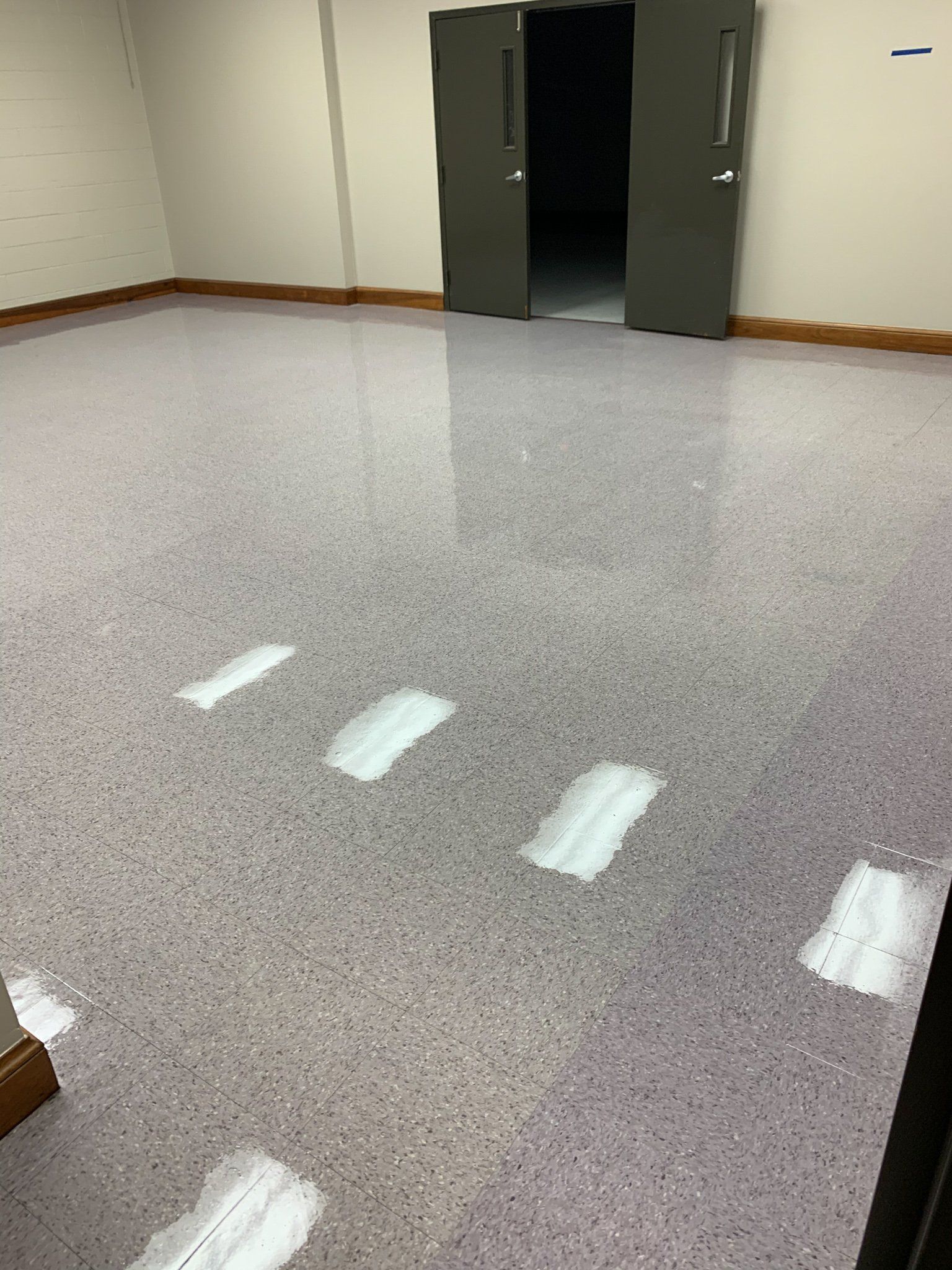 Carpet Cleaning Columbus, OH Buckeye Carpet Care Inc