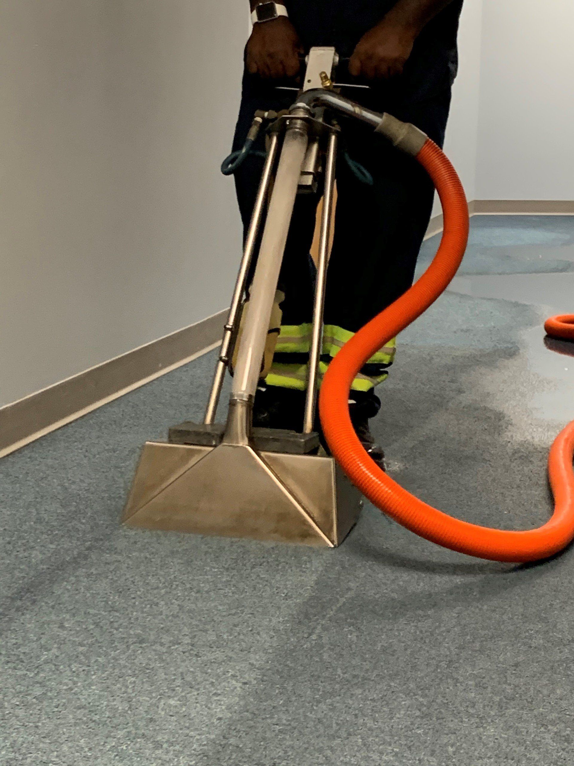 Carpet Cleaning Columbus, OH Buckeye Carpet Care Inc