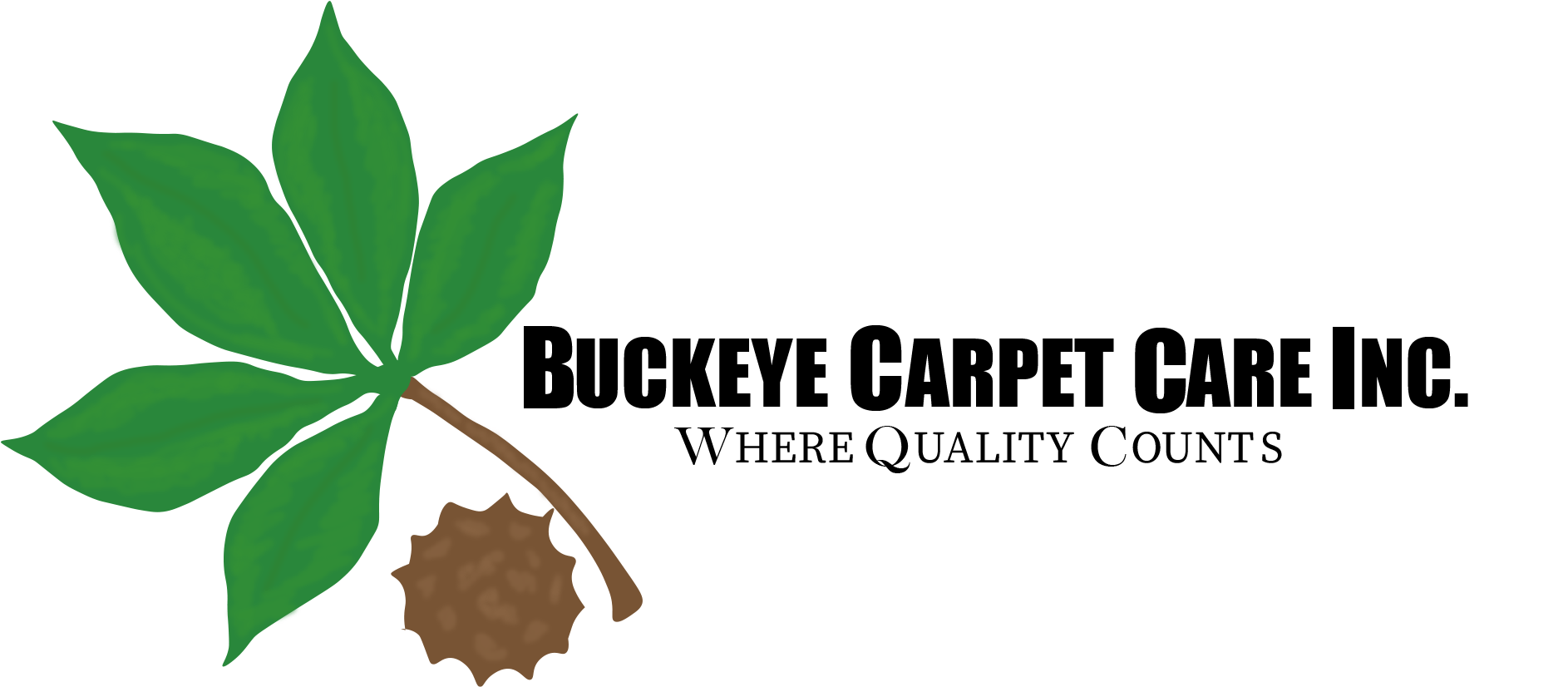 Carpet Cleaning Columbus, OH Buckeye Carpet Care Inc