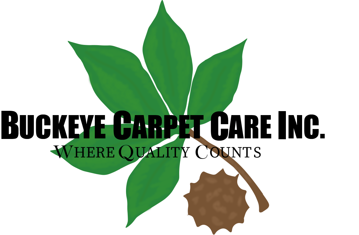Carpet Cleaning Columbus, OH Buckeye Carpet Care Inc
