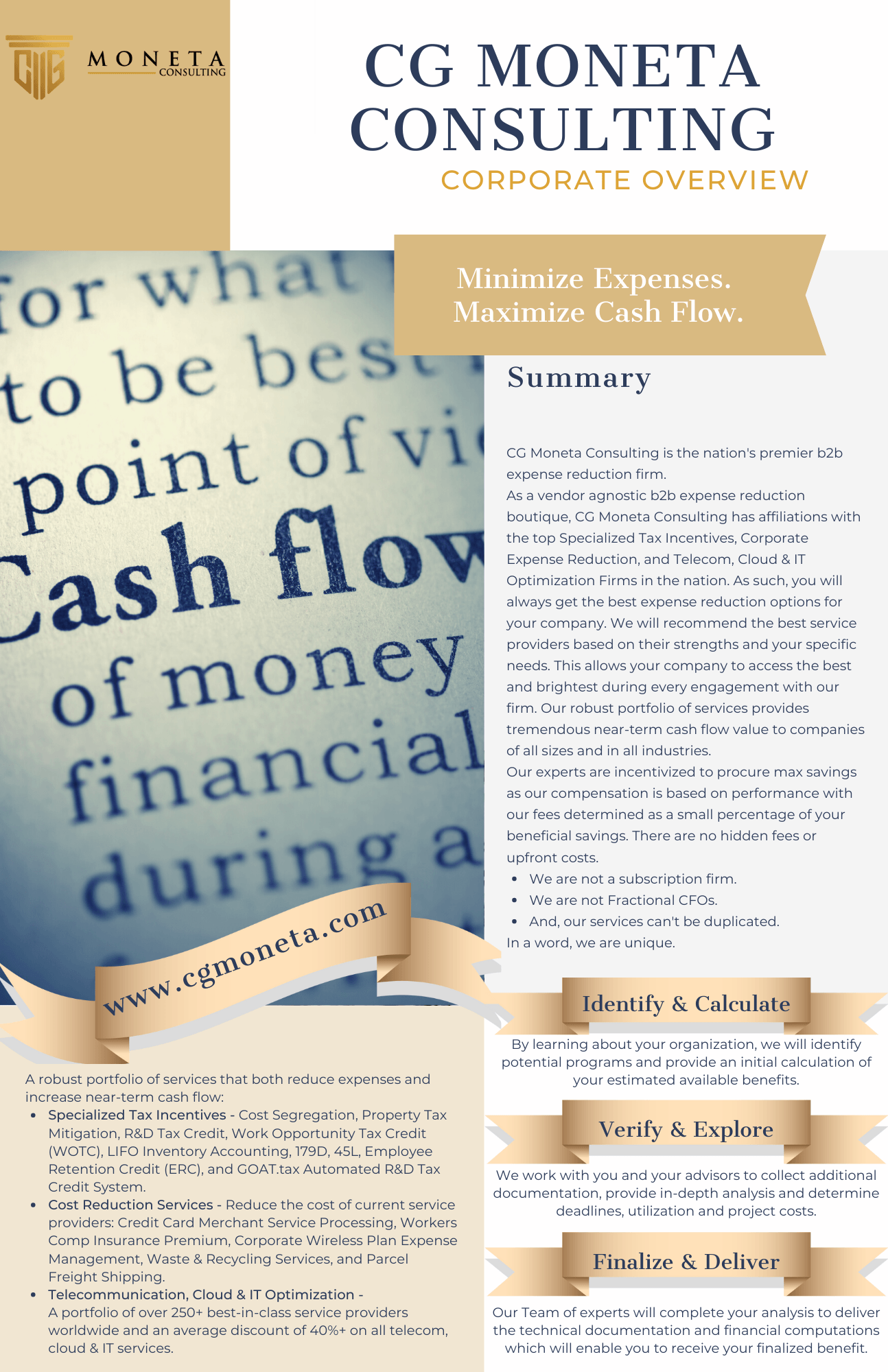 CG Moneta Consulting