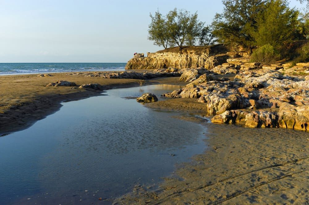 Beach With Rocky Coastline, Small Stream, and Trees Along the Cliffs — Quack Pest Control in Casuarina, NT