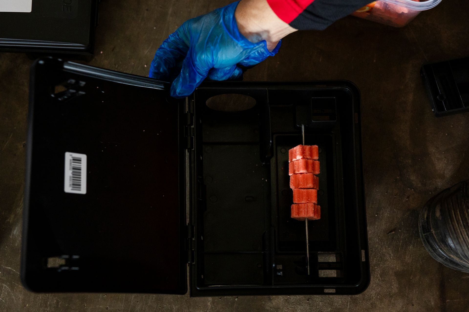 Black Rat Trap With Bait — Quack Pest Control in Winnellie, NT