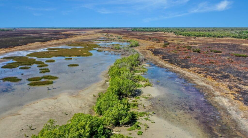 Marshy Landscape With Green Foliage and Water Under a Blue Sky — Quack Pest Control in Humpty Doo, NT