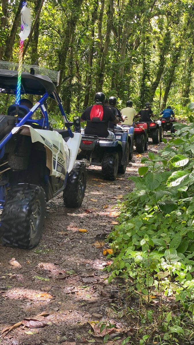 A group of people are riding atvs down a dirt path in the woods.