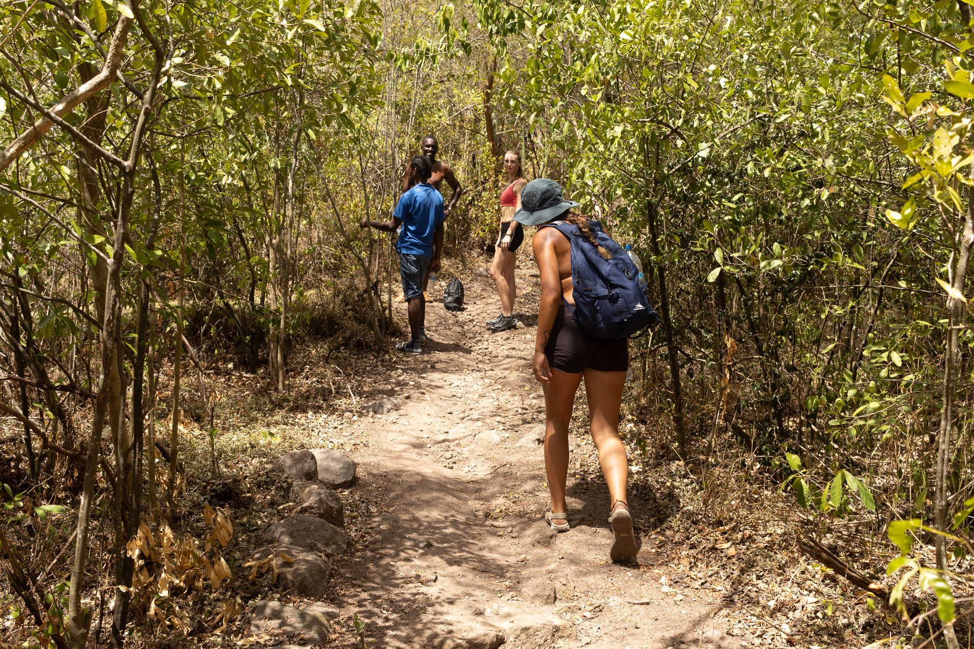 A group of people are walking down a dirt path in the woods.
