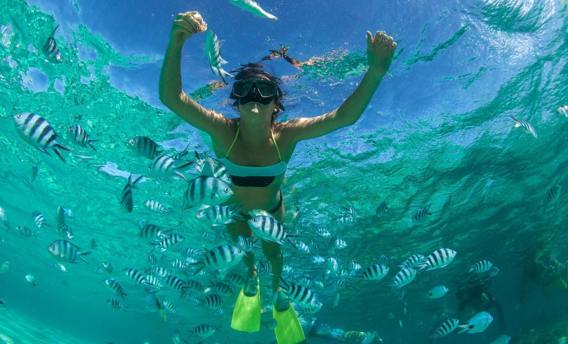 A woman is swimming in the ocean surrounded by fish.