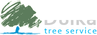 Dulka Tree Services