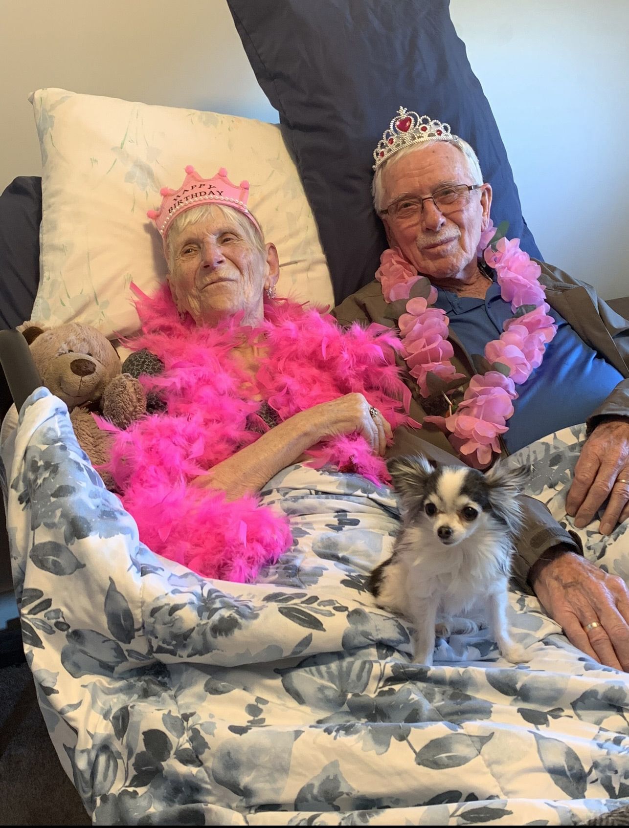 A man and a woman are laying in a bed with a small dog.