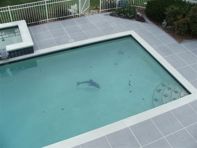 Top View Of Swimming Pool — Jamestown, NC — Decorative Concrete Unlimited Inc