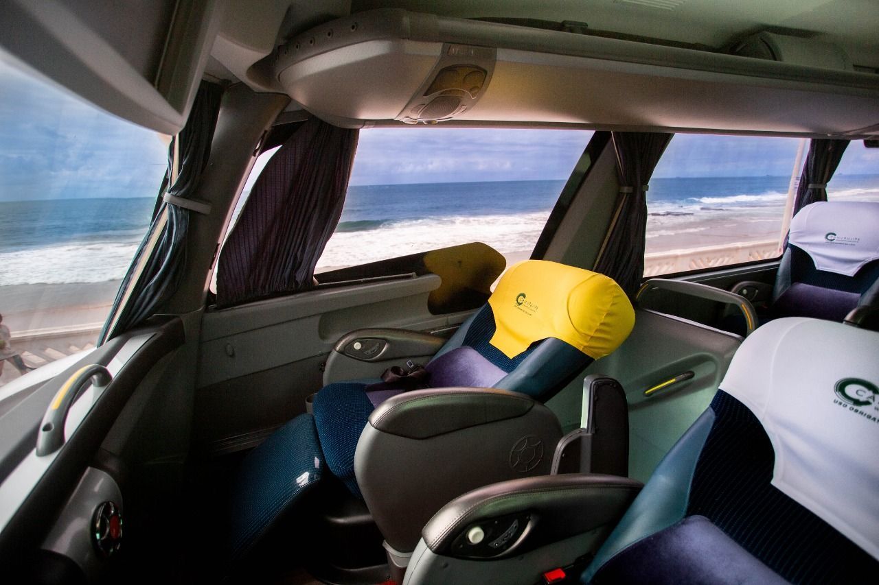 Uma estrada que atravessa uma floresta com árvores dos dois lados.