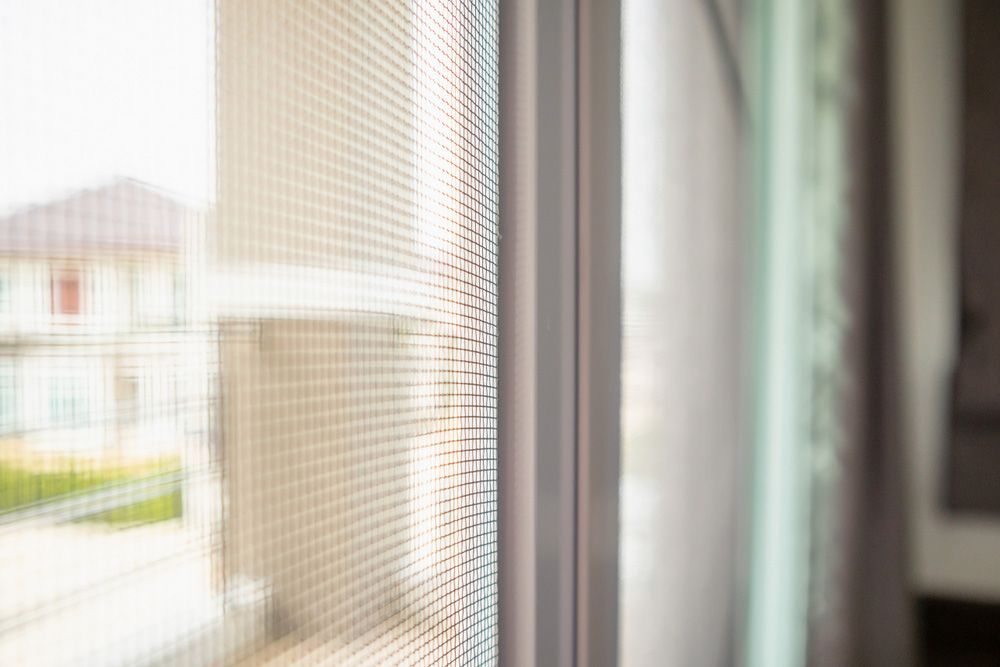 House Window Protection Against Insect And Screen — Glass Repairs & Installations in Scone, NSW