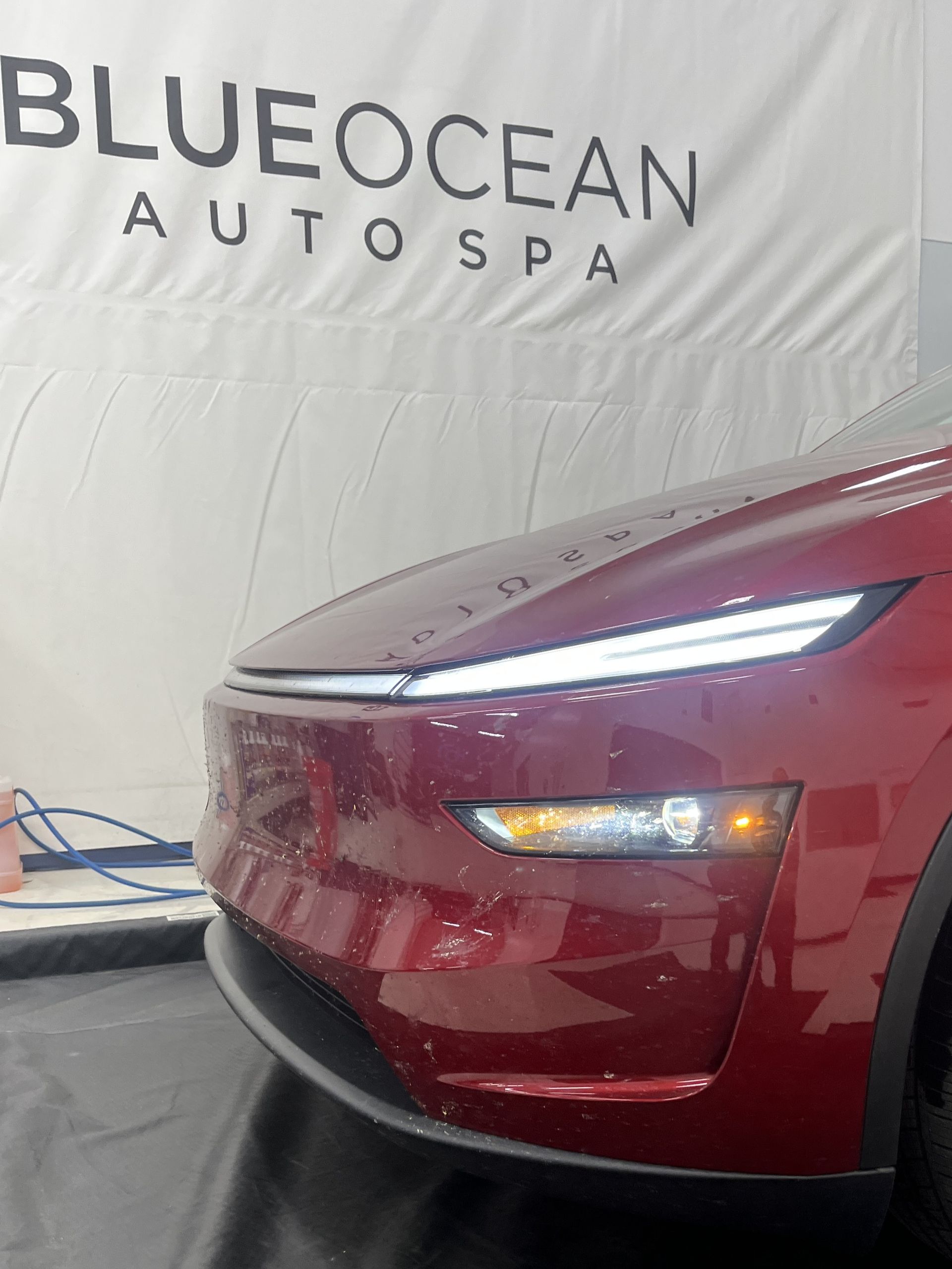This bug gut coated front bumper onthis Tesla Model Y shows how harsh a long roadtrip can be on the car's exterior.