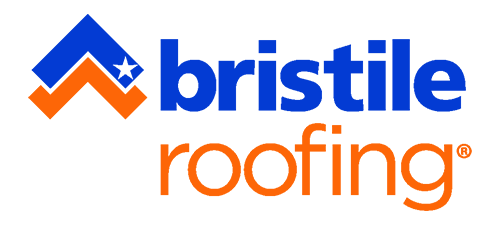 Bristile Icon