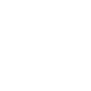 Roberts Design | Dragon Design