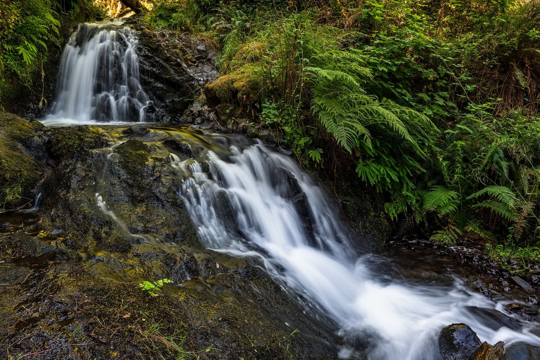 Waterfall along the  Columbia River Gorge