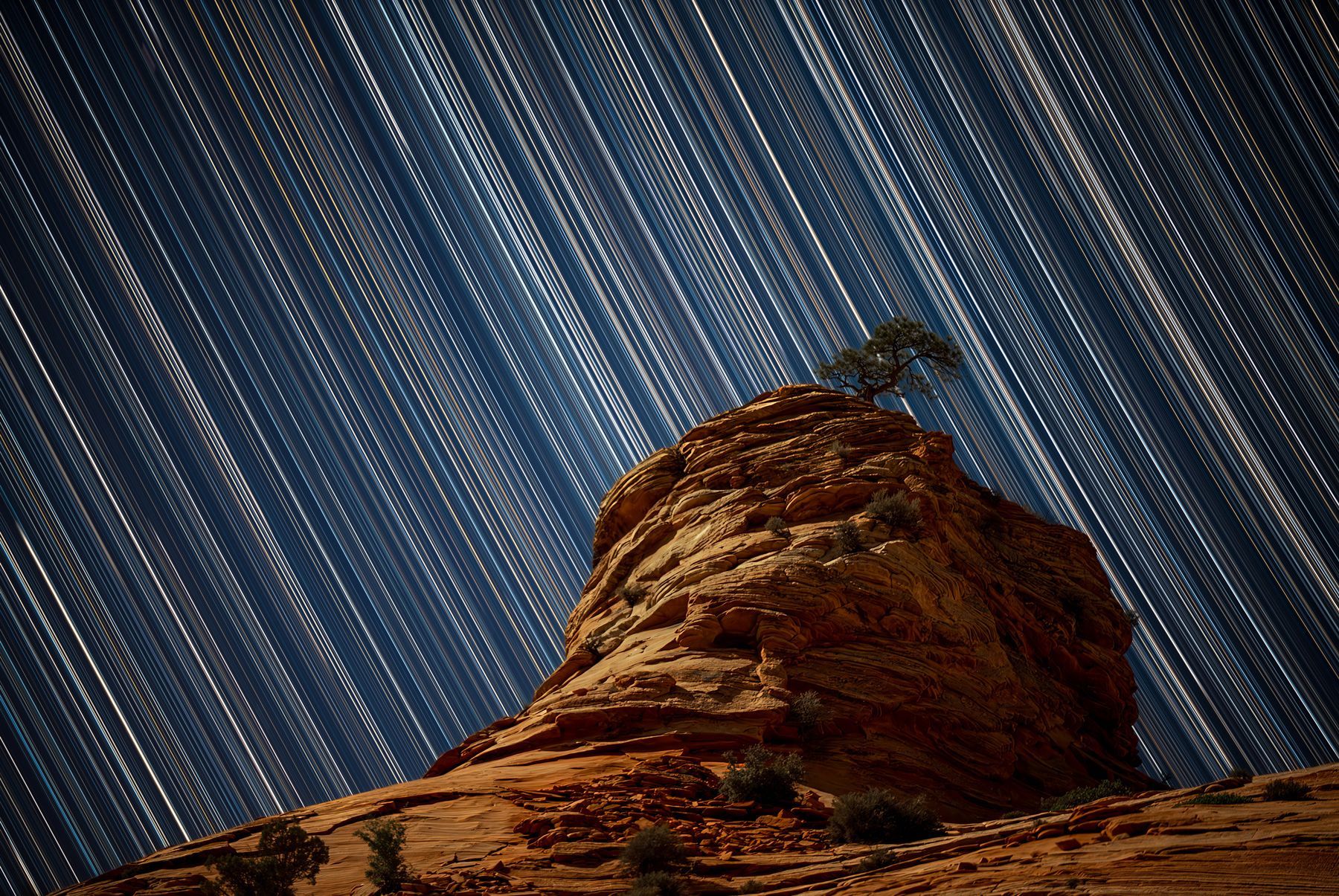 Lone Tree Star Trails