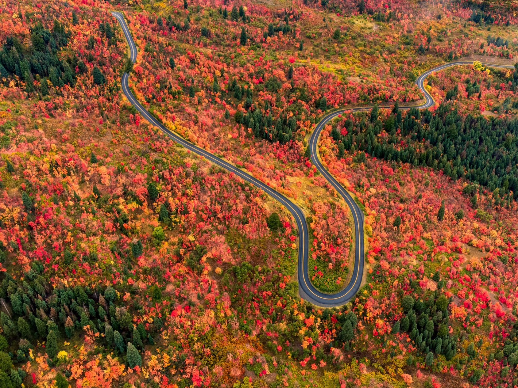 Rock Canyon Road in Fall