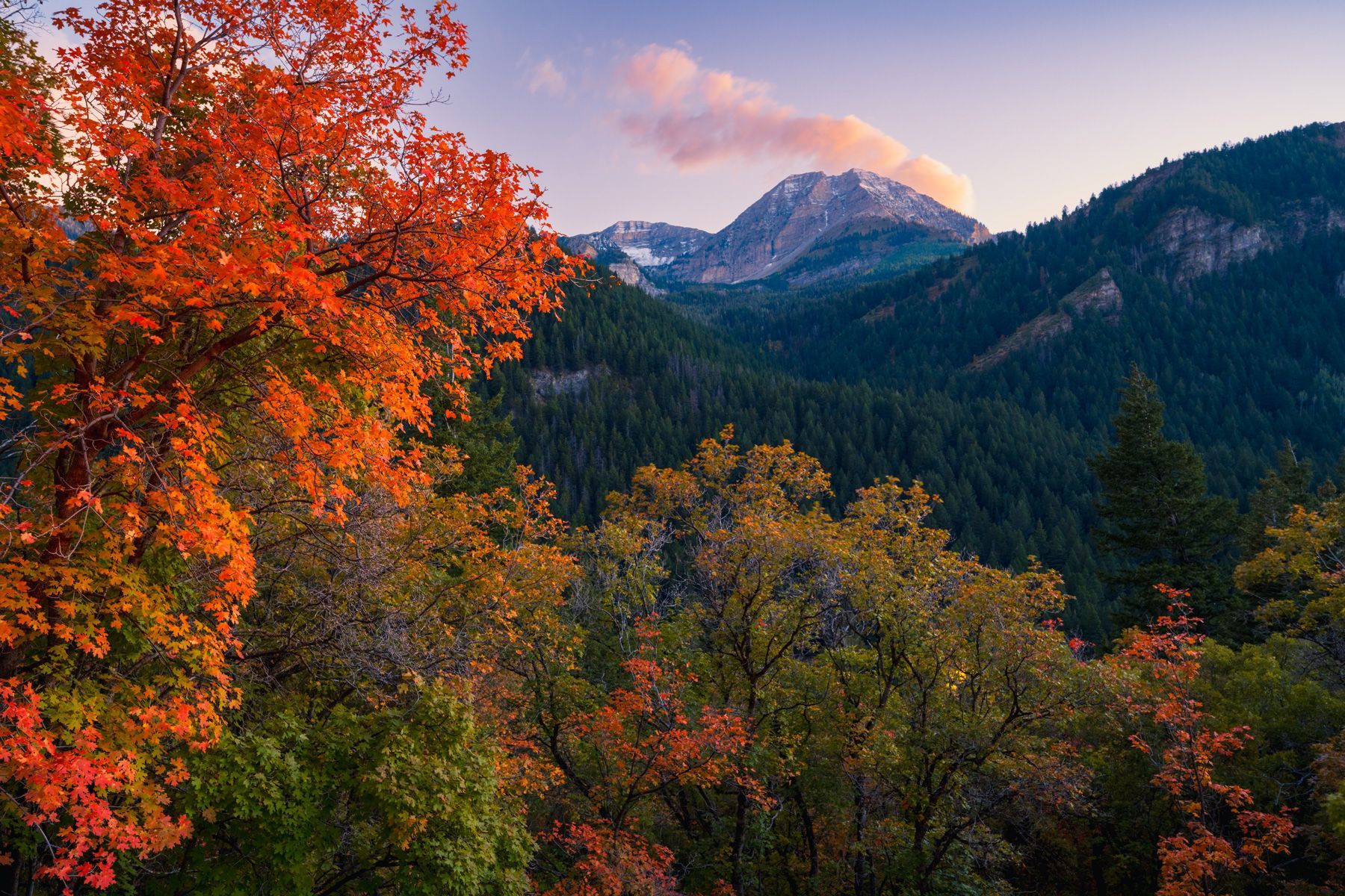 Back side of Lady Timp In Early Fall