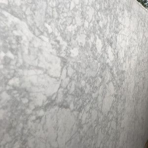 White marble slab with gray veining.