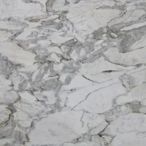 White marble slab with gray veining.