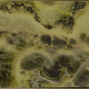 Green and black marble tile with swirled patterns.