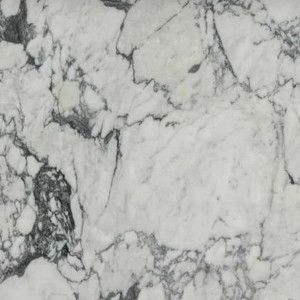 White marble with gray veining.