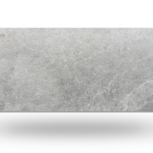 Gray rectangular tile with a mottled, textured surface.