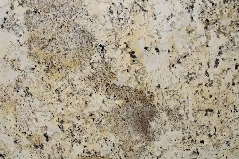 Beige and gray granite countertop with dark flecks.