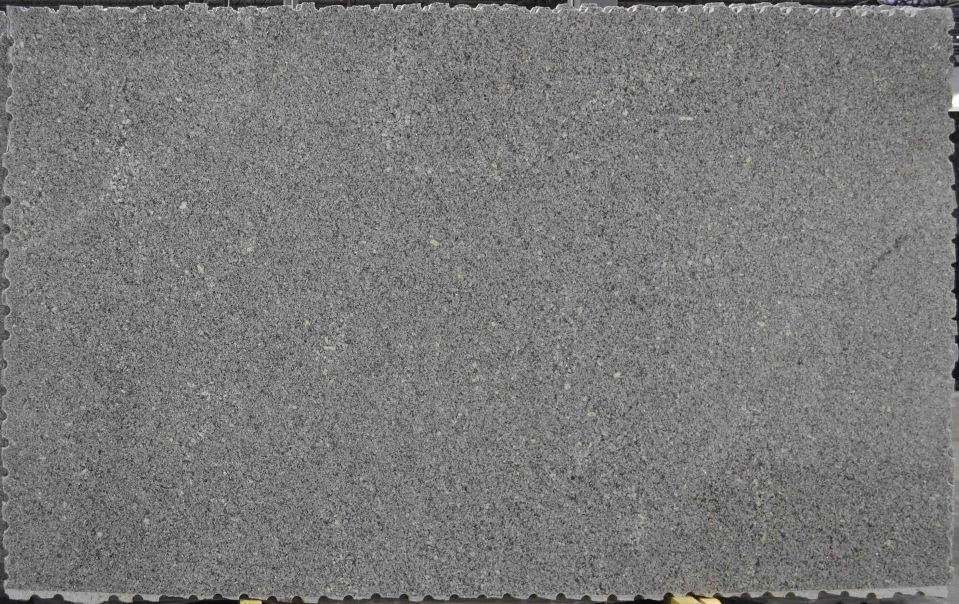 Gray rectangular paving stone with a rough, textured surface.