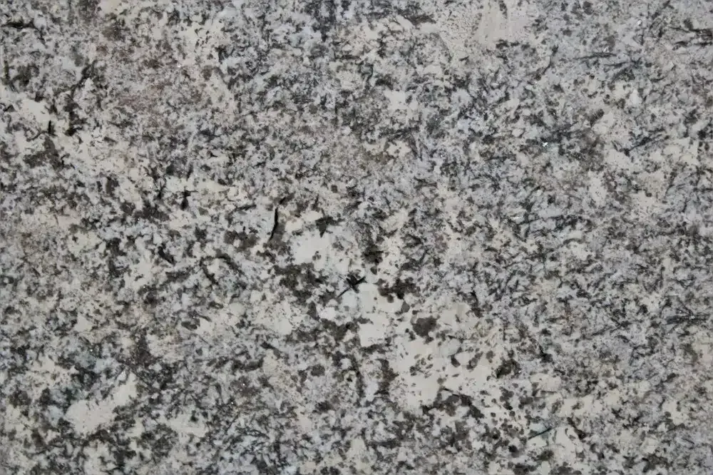 Granite countertop with speckled white, gray, and black patterns.