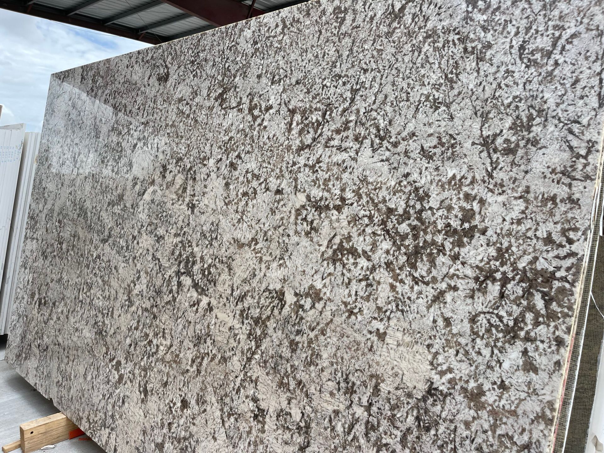 Large slab of speckled beige granite.