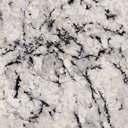 White granite countertop with black veins.
