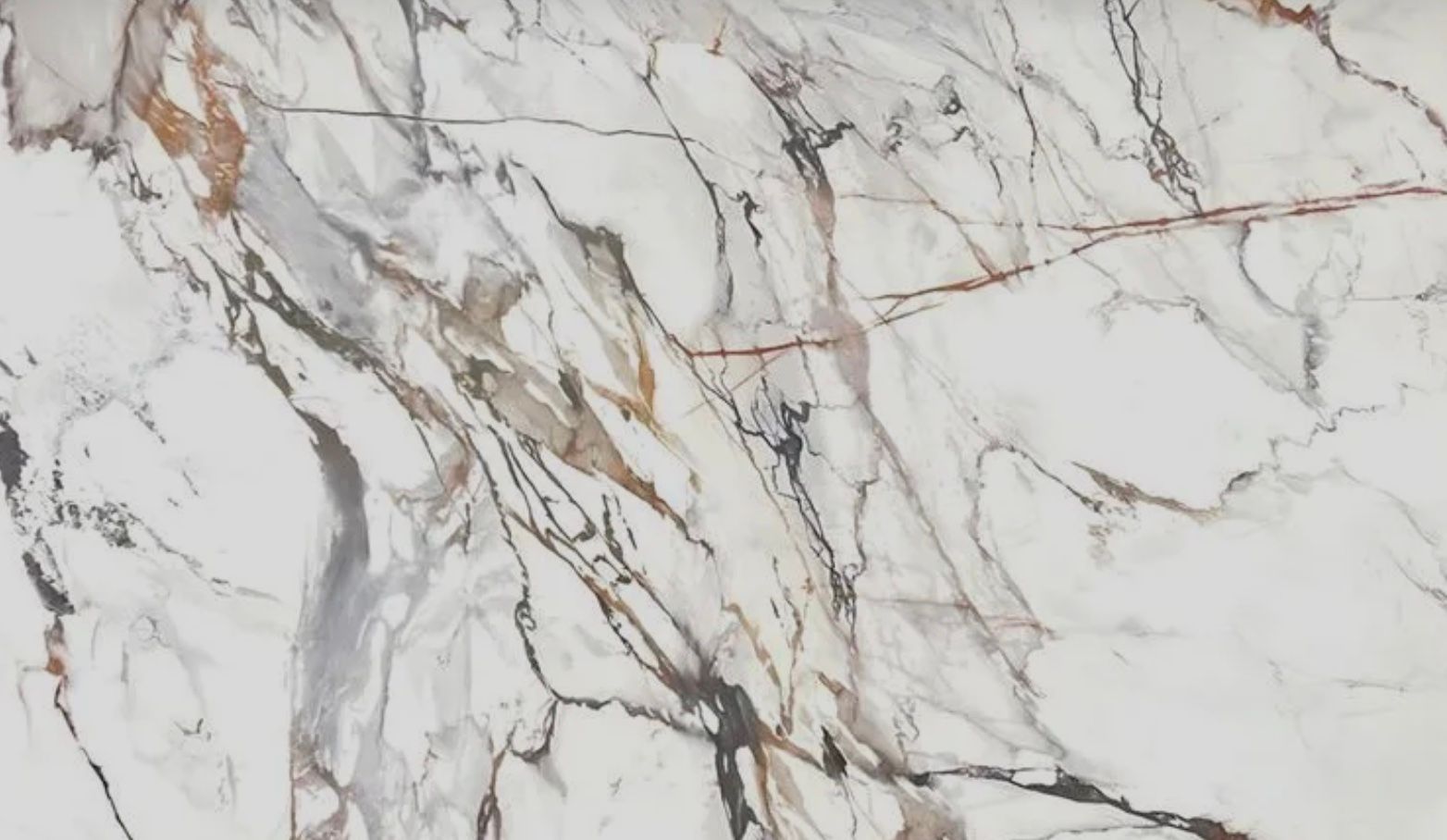 White marble with dark brown and black veining.