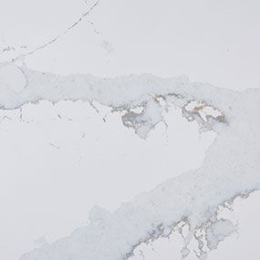 White marble surface with gray and gold veining.